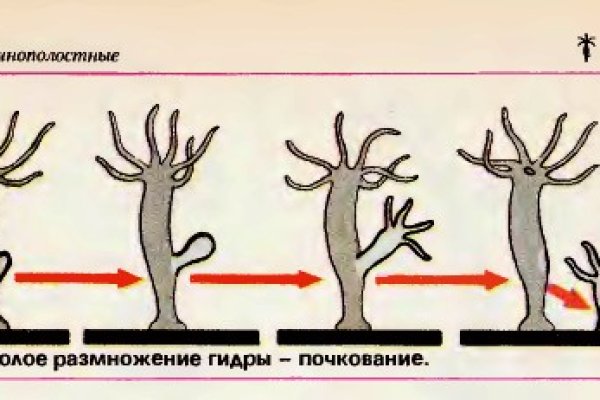 Зеркало омг омг тор