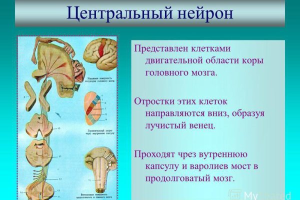 Омг ссылка тор браузер