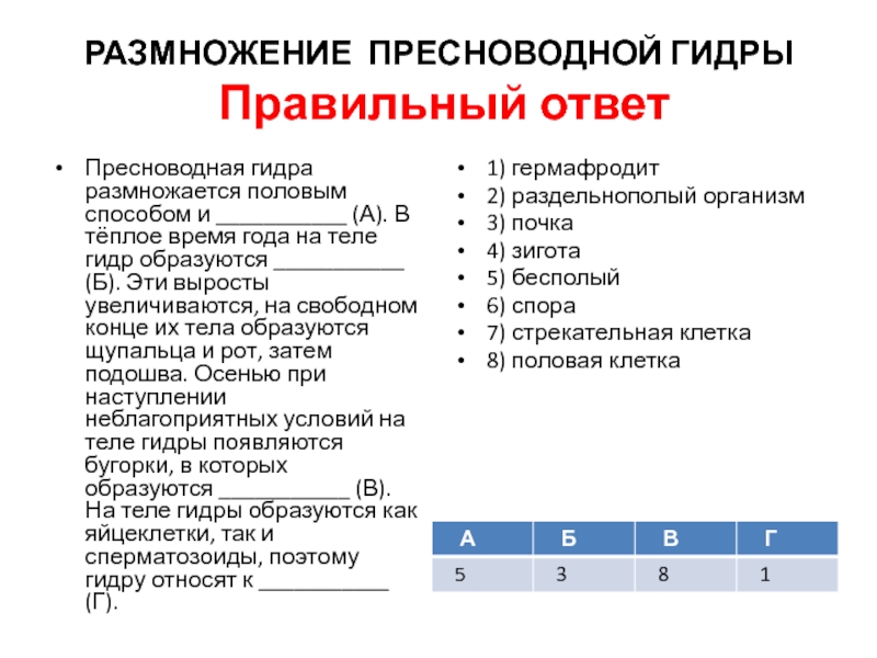 Ссылка омг браузер